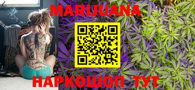 тгк Камышлов