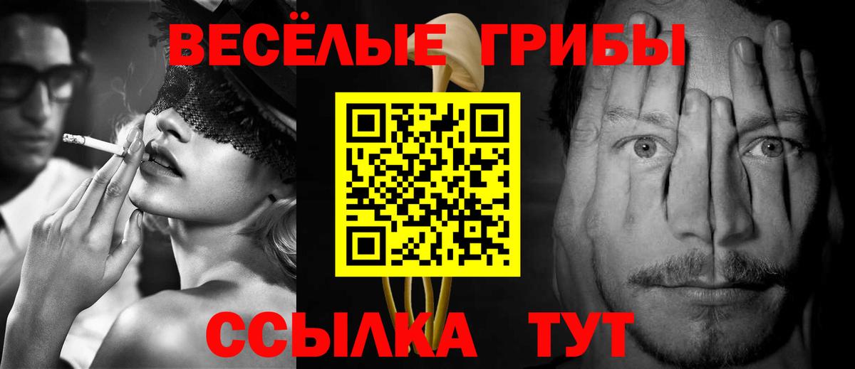 Псилоцибиновые грибы GOLDEN TEACHER Армавир