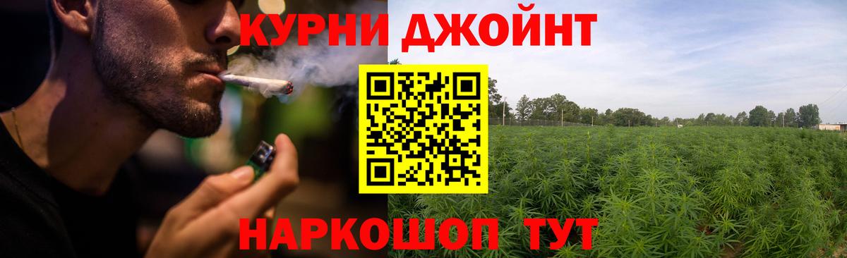Каннабис планчик  Бошки марихуана сатива  Вход с VPN  Армавир 